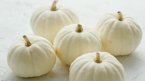 White-small-pumpkins-