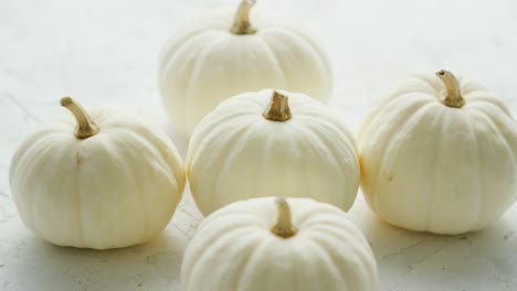 calabazas pequeñas blancas