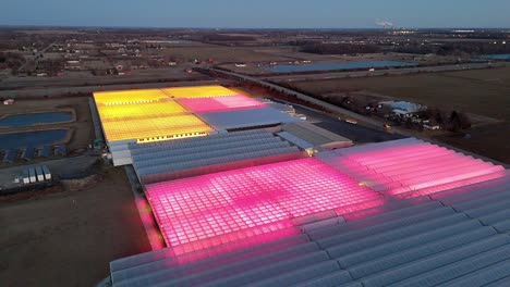 colorful greenhouse rooftops glowing at night in carlton, michigan, usa