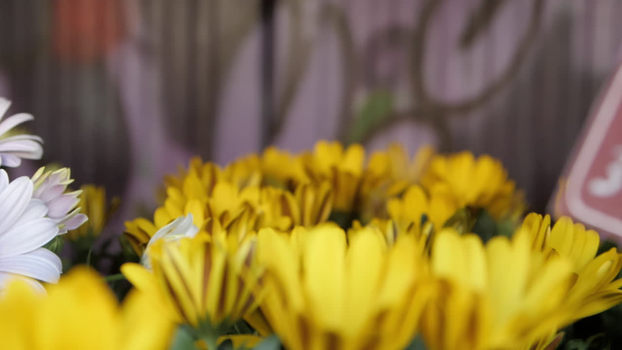 Captured in D&uuml;sseldorf at Carlsplatz, this elegant scene unfolds in slow motion as the camera gracefully retreats, revealing vibrant yellow flowers, and a charming price sign comes into view