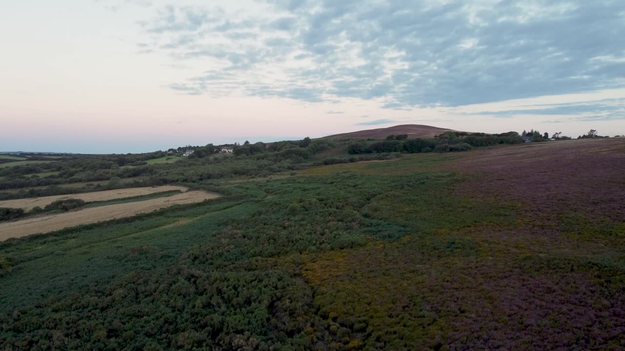 drone aéreo ascendente con páramo y brezo púrpura con campos cultivados devon uk 4k
