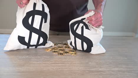 person holding two money bags with dollar signs