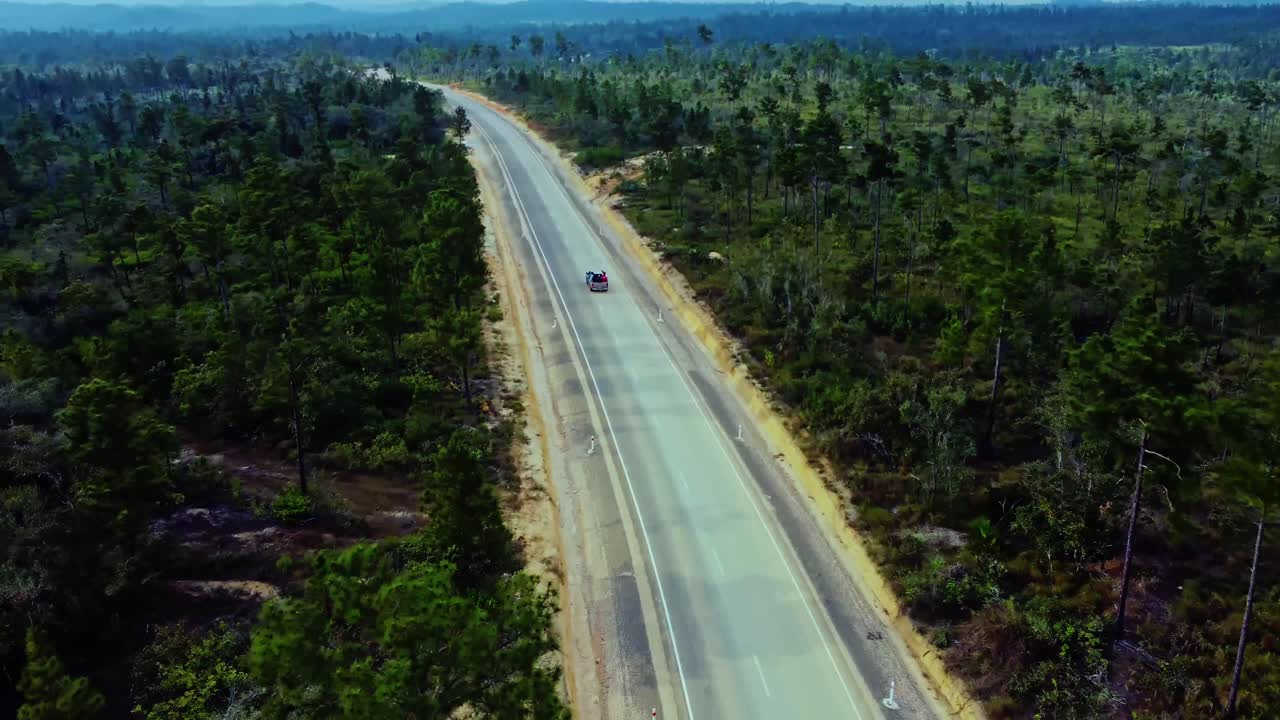 aerial siguiendo un suv a lo largo de una carretera en la reserva forestal de mountain pine ridge en belice