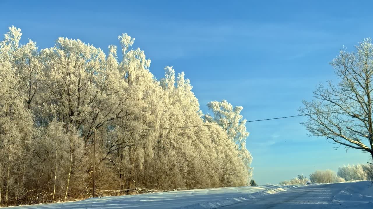 第一人稱視角：清晨陽光下，駕車穿越歐洲冬季雪景路