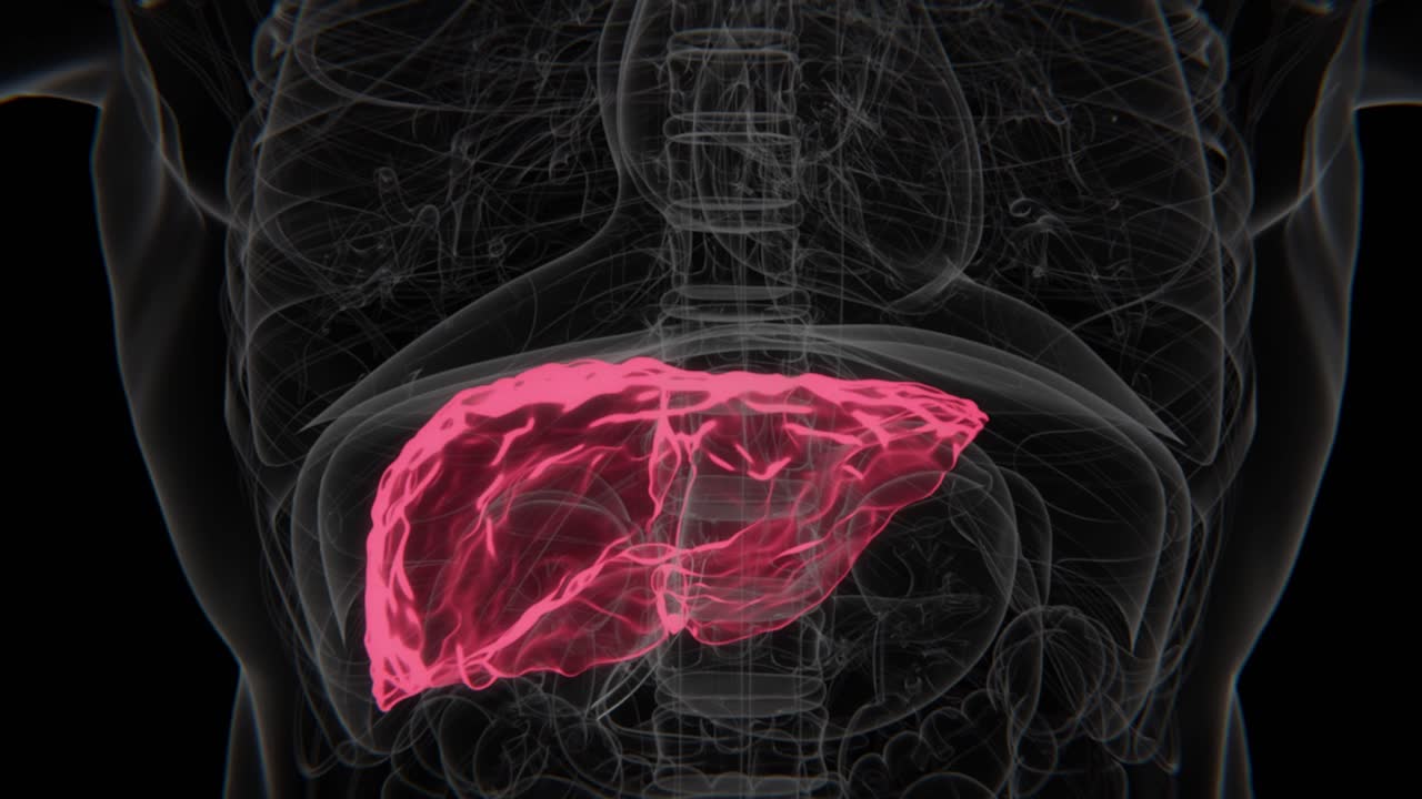 Video Radiografico HD Epatite C | Indicazione di Epatite C in Video HD Verticale