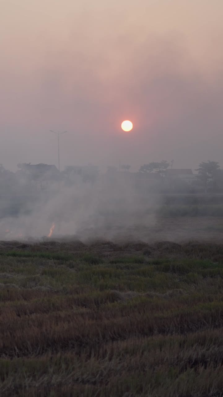 Sunset over a burning field