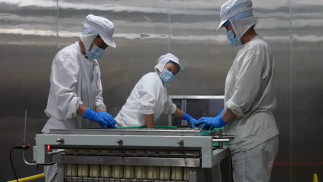 close up workers in a busy factory meticulously handle vibrant food bottles, placing them in cardboard boxes. the soft industrial lighting creates a warm ambiance, highlighting activity taking place