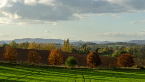 slow pan time lapse of glorious english autumn foliage