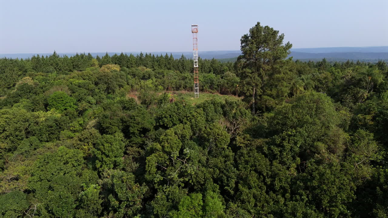Scenic aerial view of lush green treetops with a distant forest fire lookout tower on the horizon under blue skies.