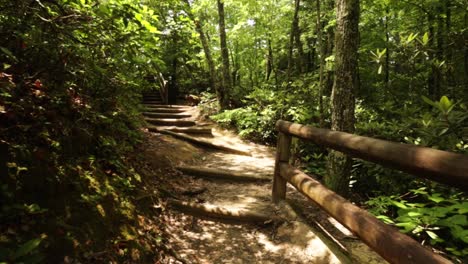 nature hike at natural bridge state park, kentucky