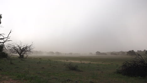 a building rain and windstorm in the hot summer months in the kalahari desert in south africa