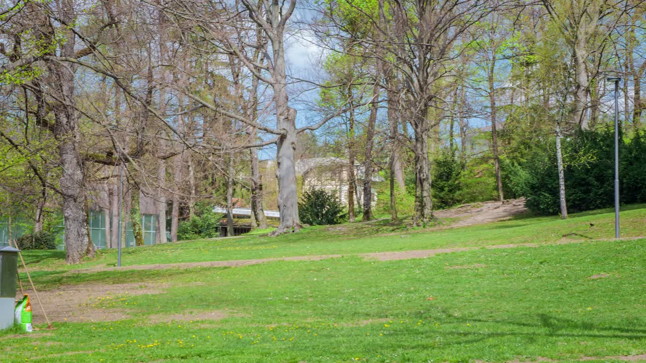 화창한 날 공원에 있는 들판의 팬 샷