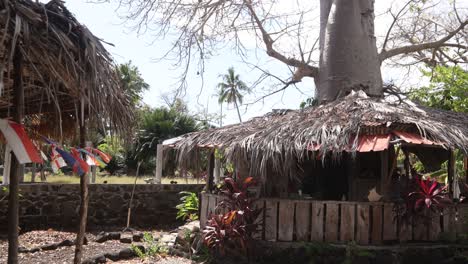beachside cafe under a baobab tree in africa