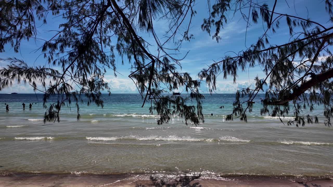 Peaceful beach scene with calm waves, silhouetted figures swimming, and overhanging branches, capturing tranquility and natural beauty on a sunny day.