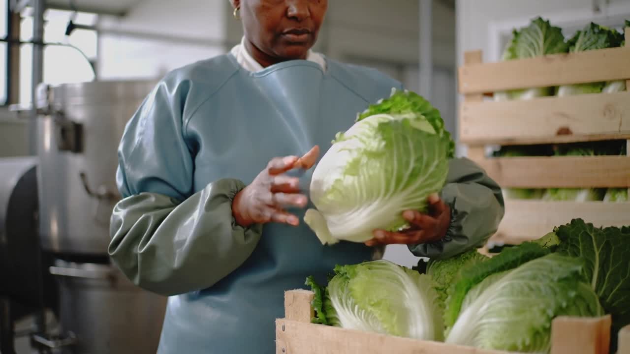Reaching worker in smock lifting rotating cabbage checking quality at packing area with crates tank
