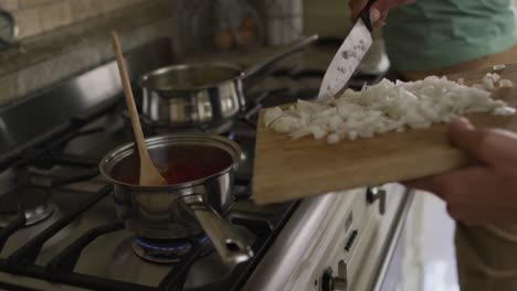 Hands-of-biracial-woman-cooking,-putting-vegetables-into-saucepan