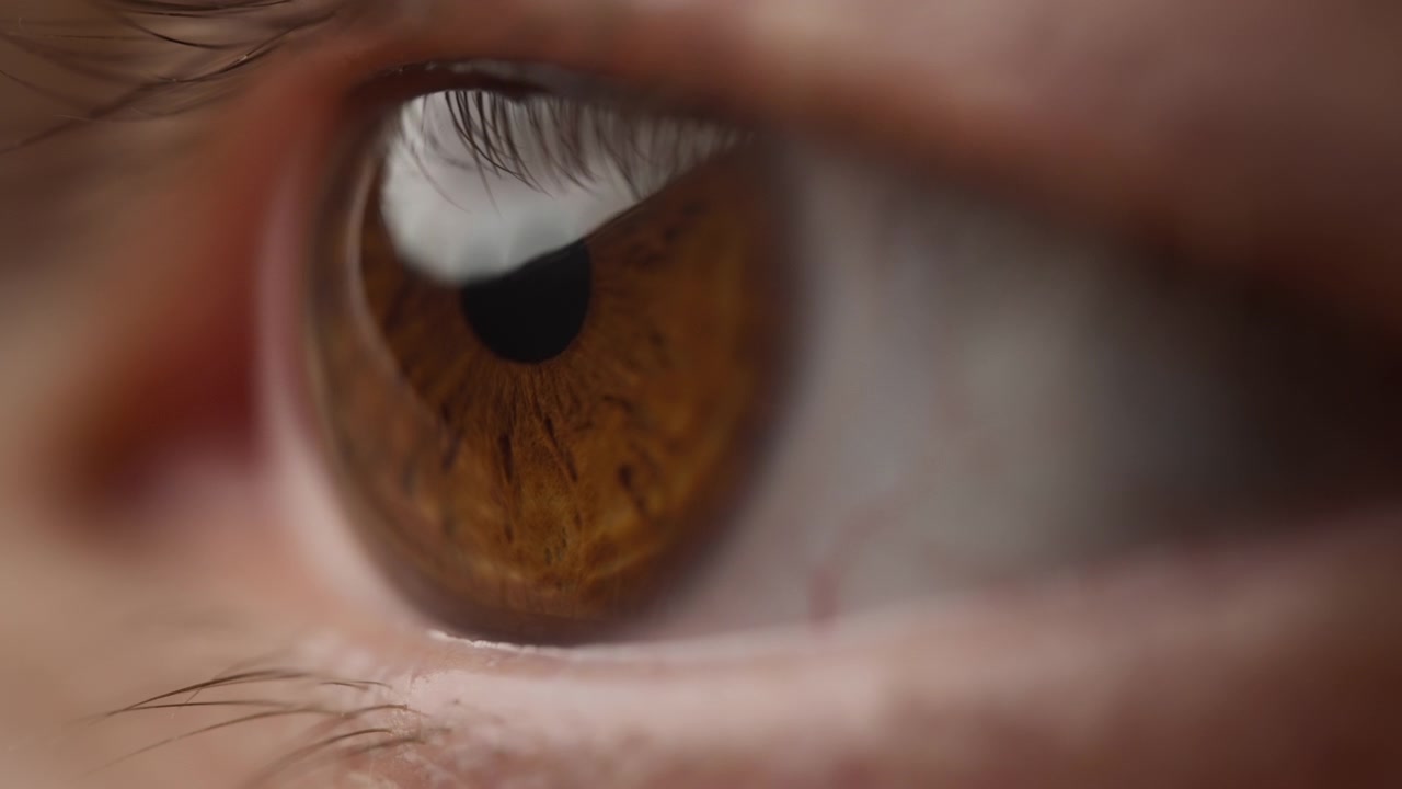 Side view of a brown eye opening