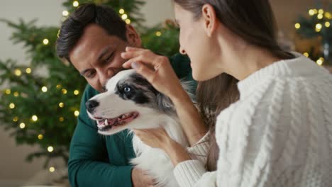 multi ethnicity couple bonding with dog at christmas time.