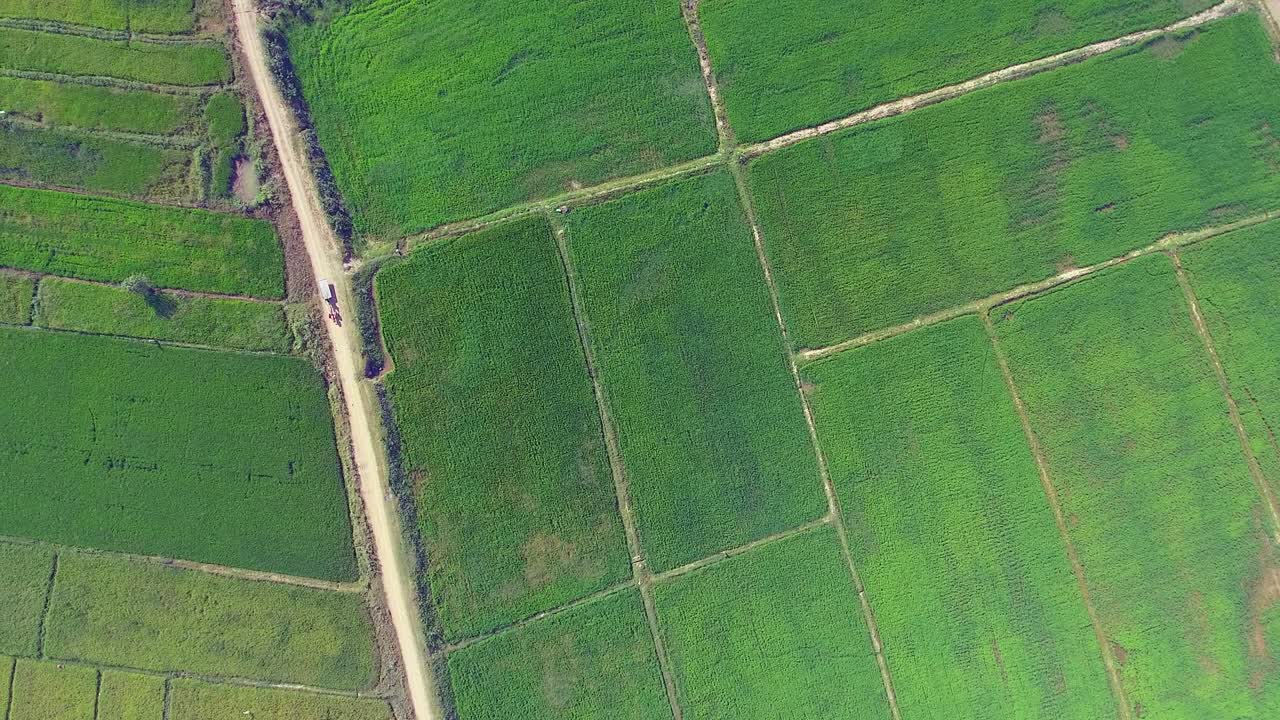 vía aérea de tierra a través de campos de arroz