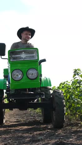 a handsome farmer is driving a tractor black and red currant bushes grow in rows on the plantation a handsome farmer drives a tractor across a field with currant bushes currant bushes in even roves on farm land growing berries agribusiness