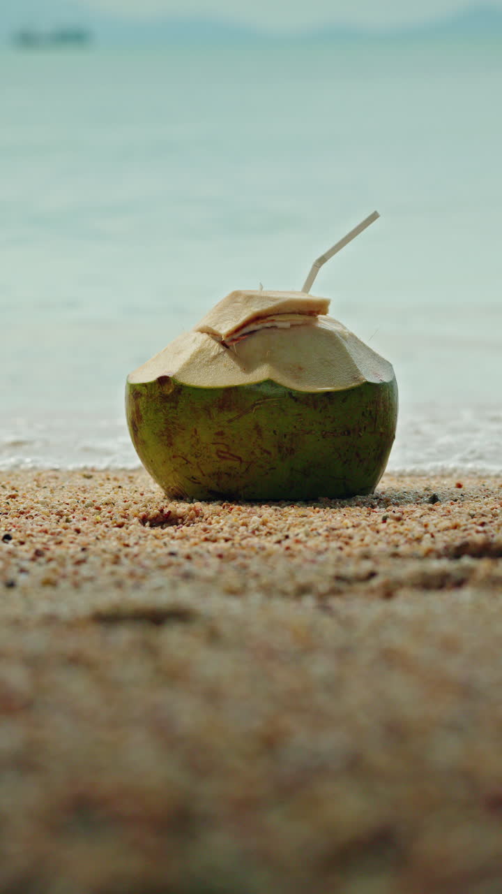 Coconut on a Beach