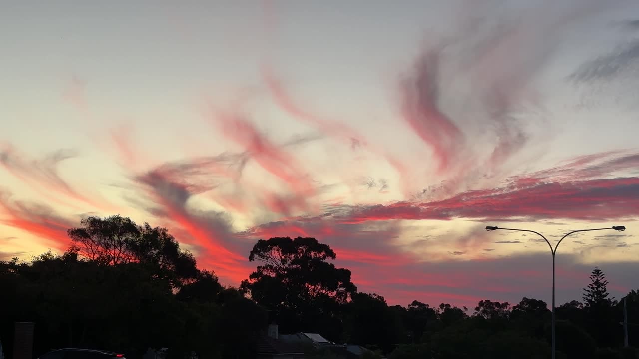 un sombrío atardecer naranja en un suburbio australiano con siluetas de árboles de goma y postes de luz