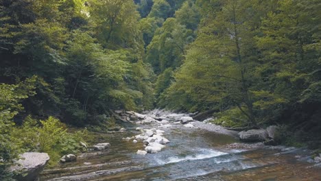 forest river gorge