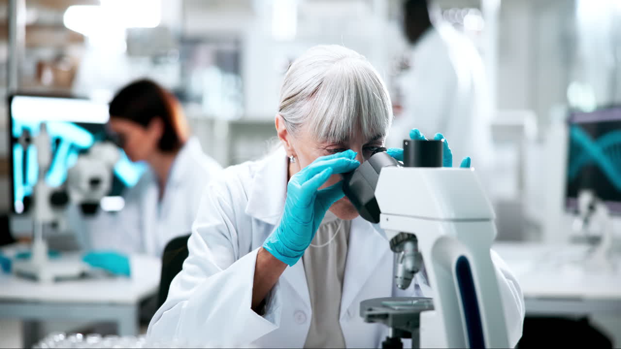 Scientists working in a research laboratory