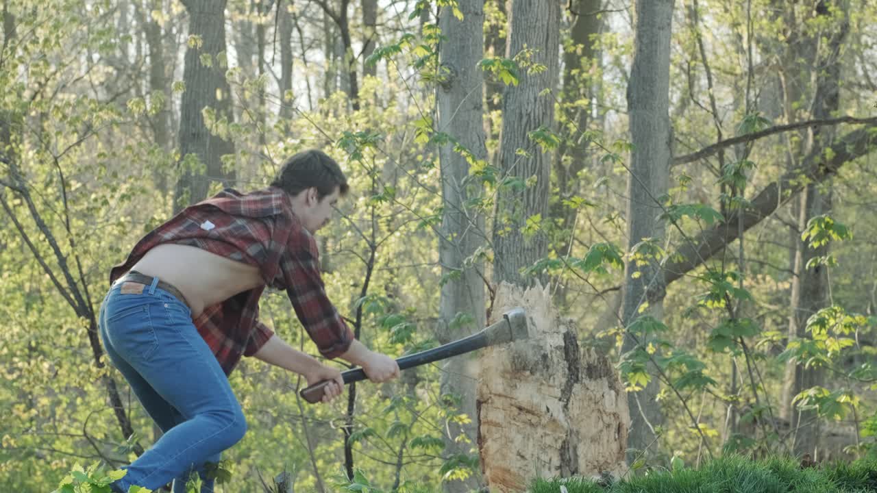 Lumberjack swinging his axe at a tree