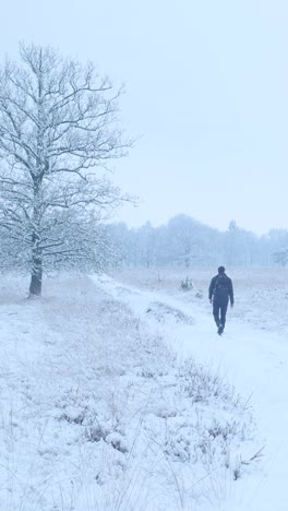 man walking on a snowy path in winter landscape