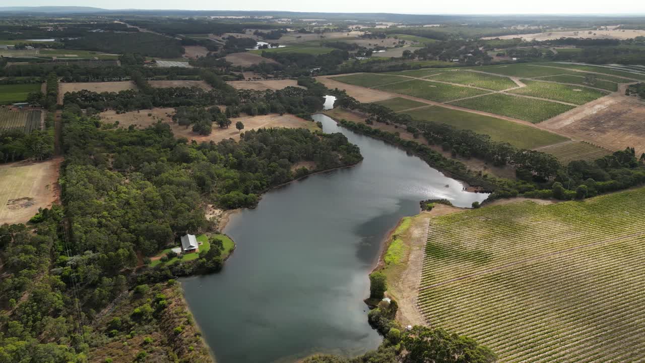 Ripresa aerea orbitante di un lago naturale in Australia circondato da un paesaggio suggestivo con vigneti
