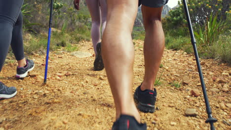 grupo diverso de excursionistas de montaña caminando