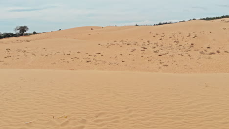 white sand dunes in mui ne phan thiet vietnam. popular tourist attraction