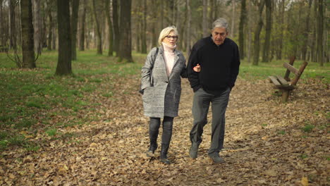 elderly couple walking in autumn park