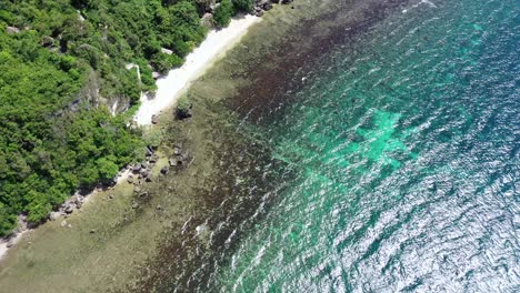 Vista-Aérea-A-Lo-Largo-De-Una-Costa-Rocosa,-Olas-Tranquilas-Del-Océano,-Agua-Clara-Y-Bosque-En-Crecimiento