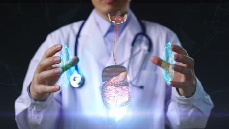 doctor examining digestive system hologram