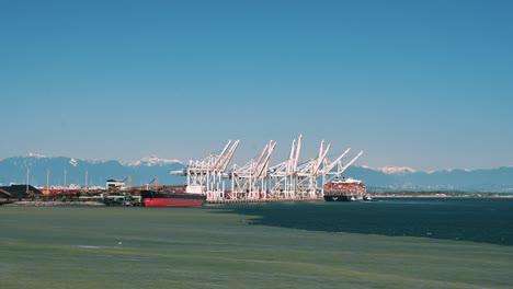 maximizing efficiency: bulk container ship mooring techniques in tsawwassen port