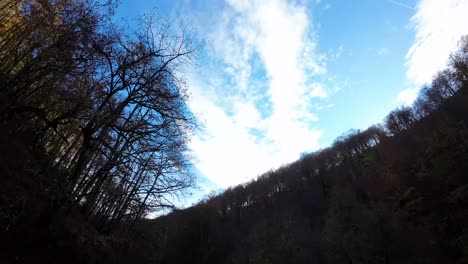 fpv drone flight over a beautiful autumn forest road