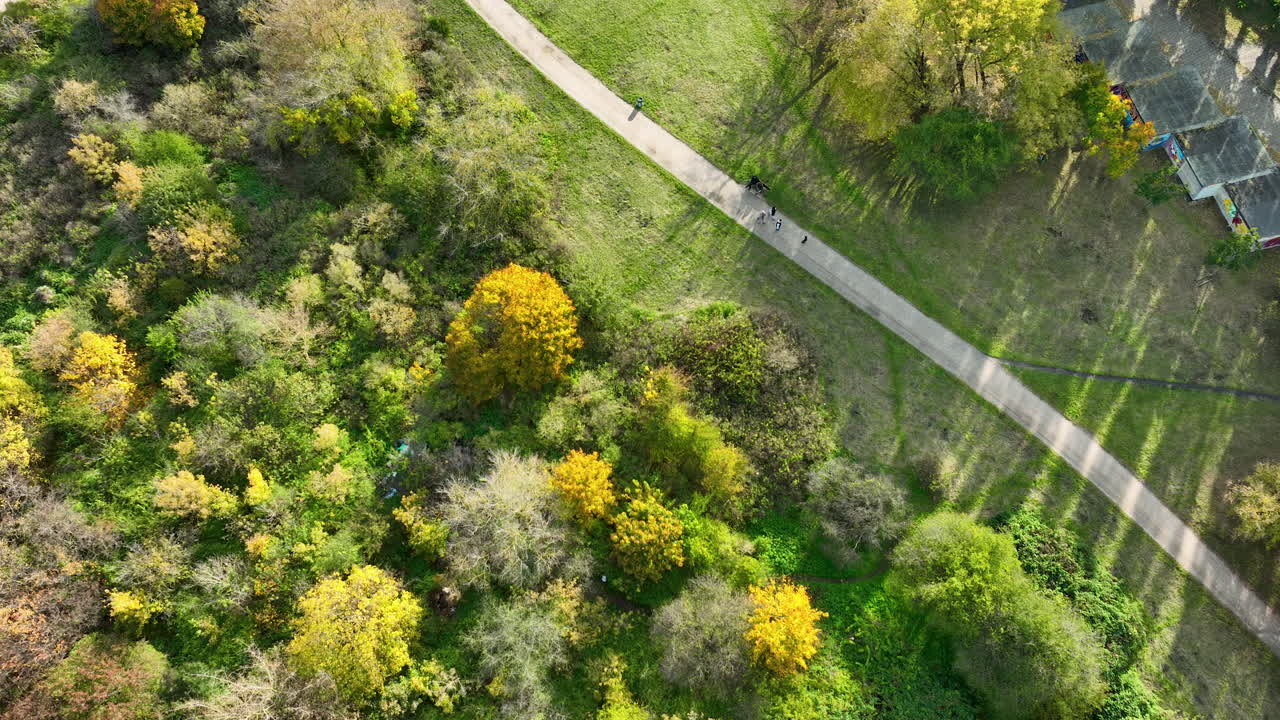 Drone top-down shot of a walking path cutting through grassy areas and autumn vegetation in a Gdańsk park