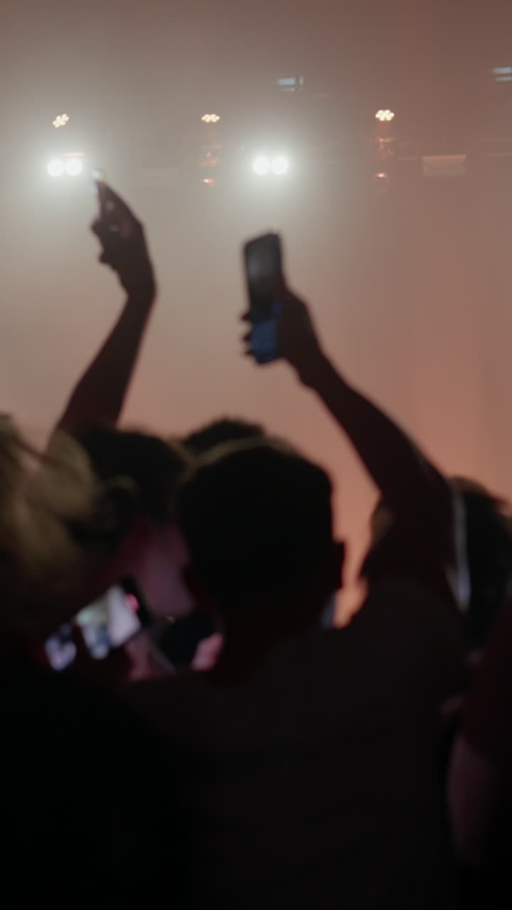 Folla a un concerto
