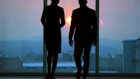 the business couple talking near the window on the bright sun background