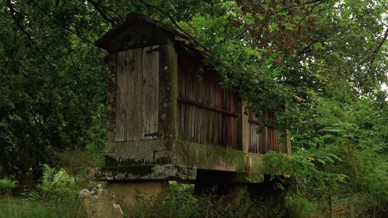 Historic hórreo granary building amidst green vegetation in Coles, Ourense, Galicia, Spain