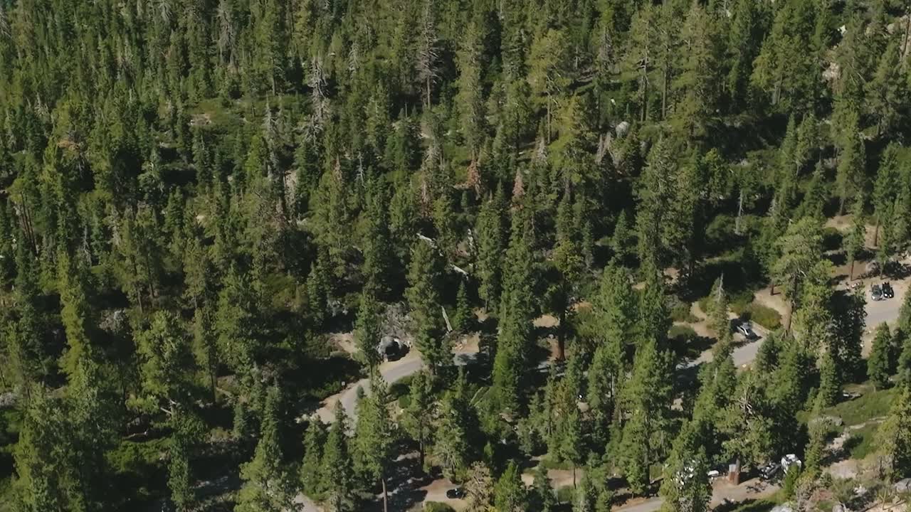 Esplora le foreste vicino al lago Tahoe in Nevada e California