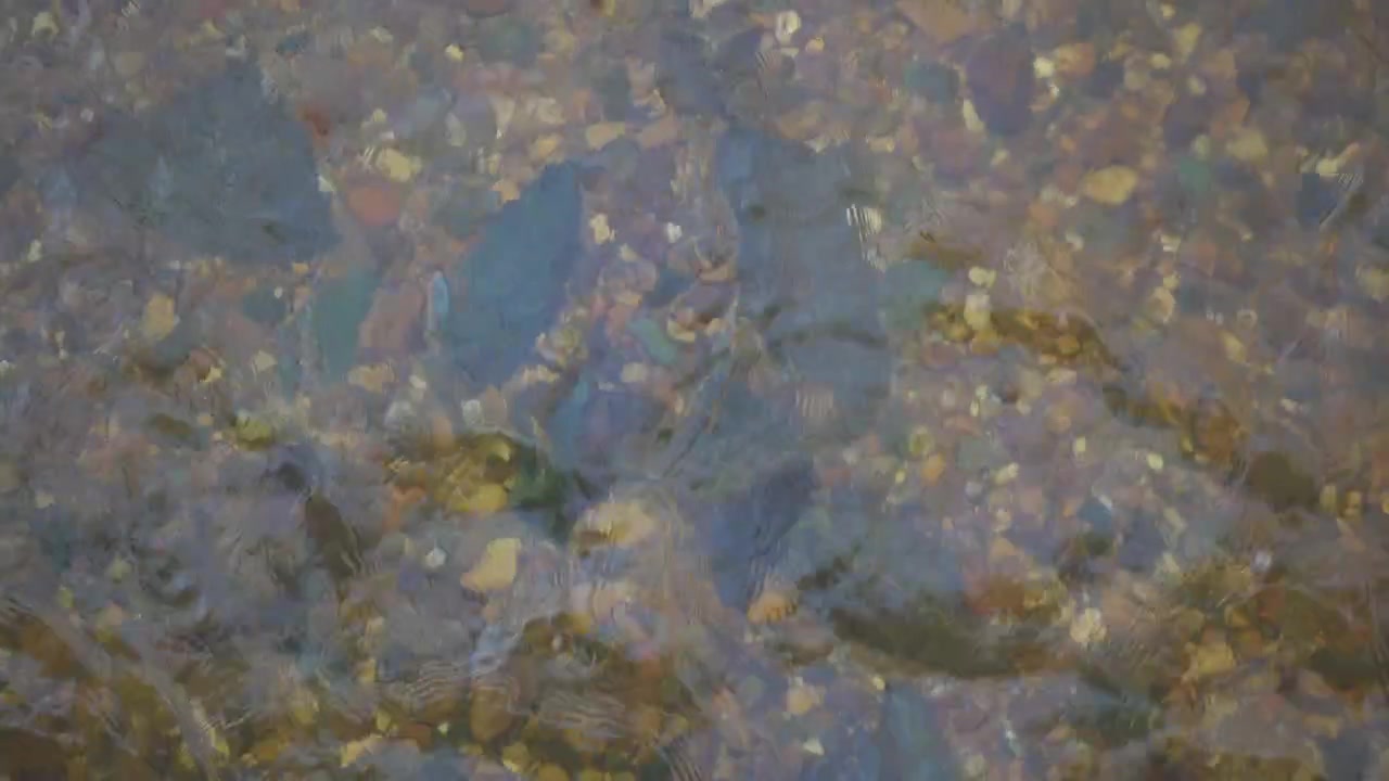 Top-down view in 4K of a quiet stream gently flowing over a pebble covered riverbed.