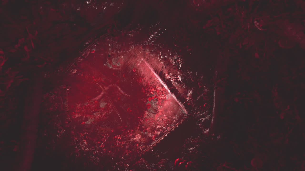 은 얼음 결정의 클로즈업