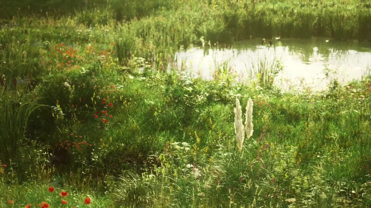 Intimate view of towering white blossom against vibrant pond landscape