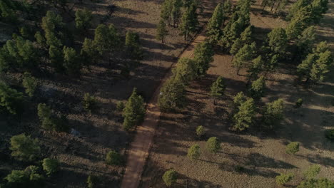Tracking-overhead-aerial-as-car-drives-down-isolated-dirt-forest-road,-4K