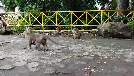 petilasan sunan kalijaga, cirebon, indonesia