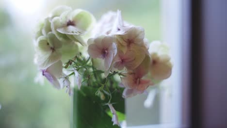 Tranquil-little-flowers-set-in-vase-near-window