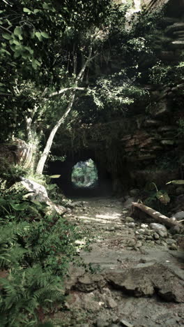 el misterioso túnel de la jungla